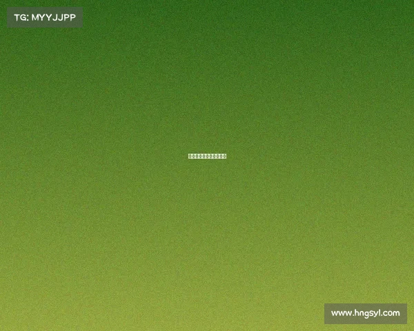 国际动画赛事国际动画奖